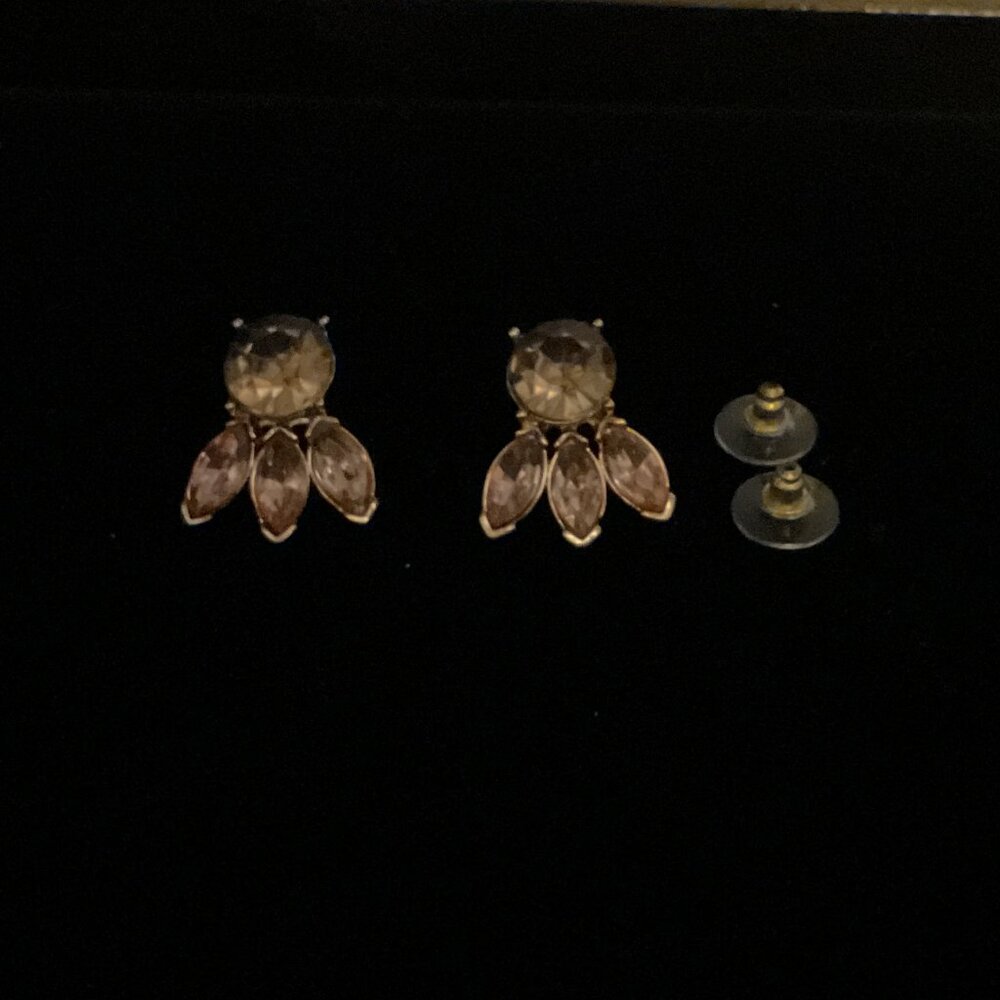 Vintage Pair of Earrings
